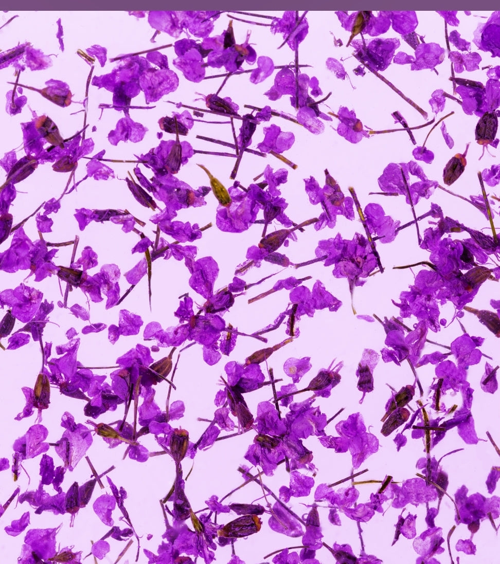 Flower Gel 08, 4 ml image 3